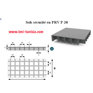 Fabrication des trappes en sol PRV en fibre de verre en Tunisie